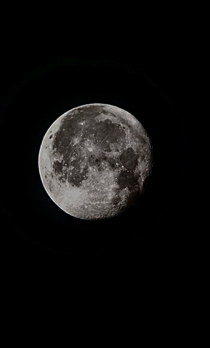 GAIA 6